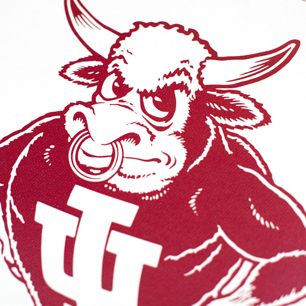 Show Your IU Pride with the Bison Print