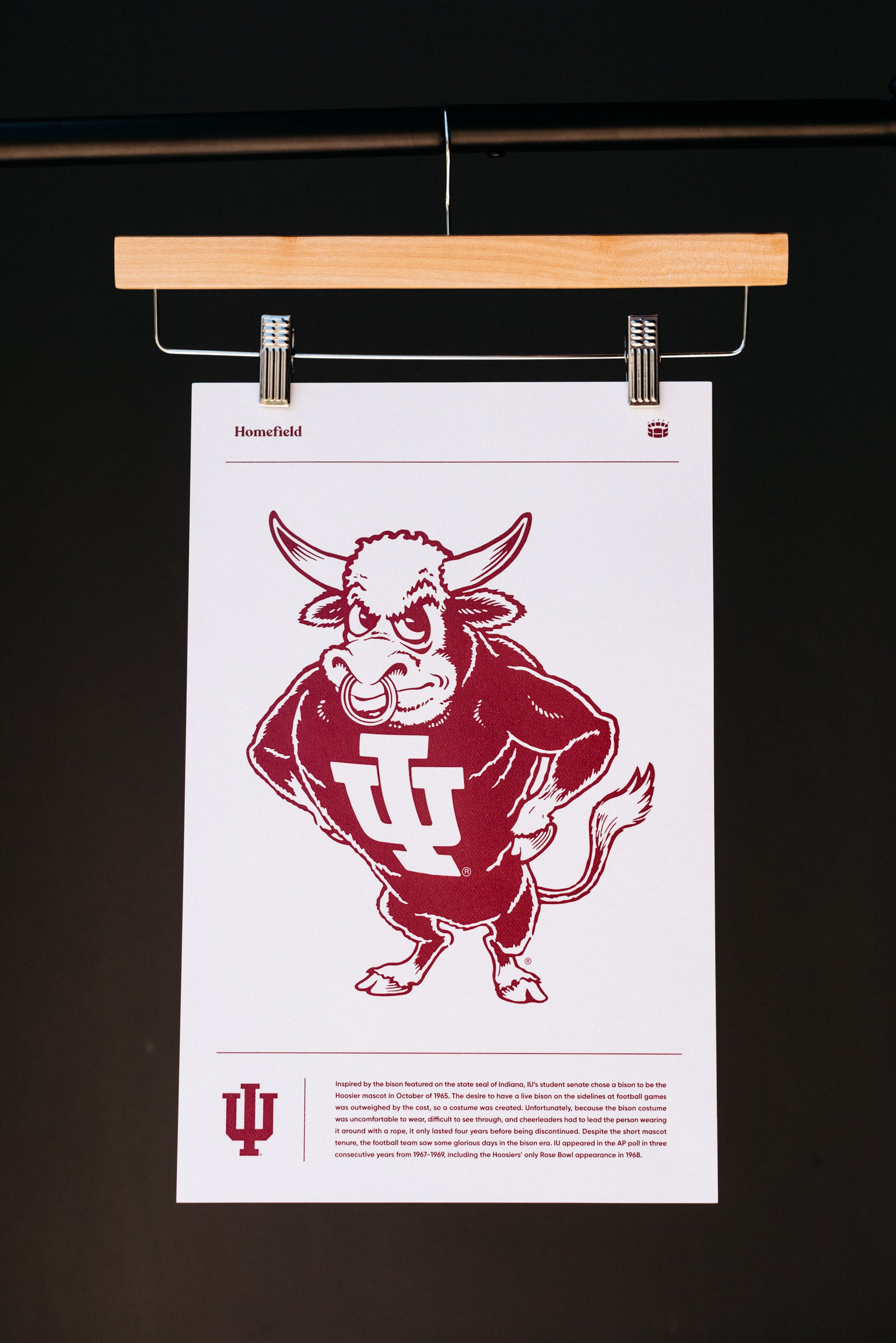 Show Your IU Pride with the Bison Print