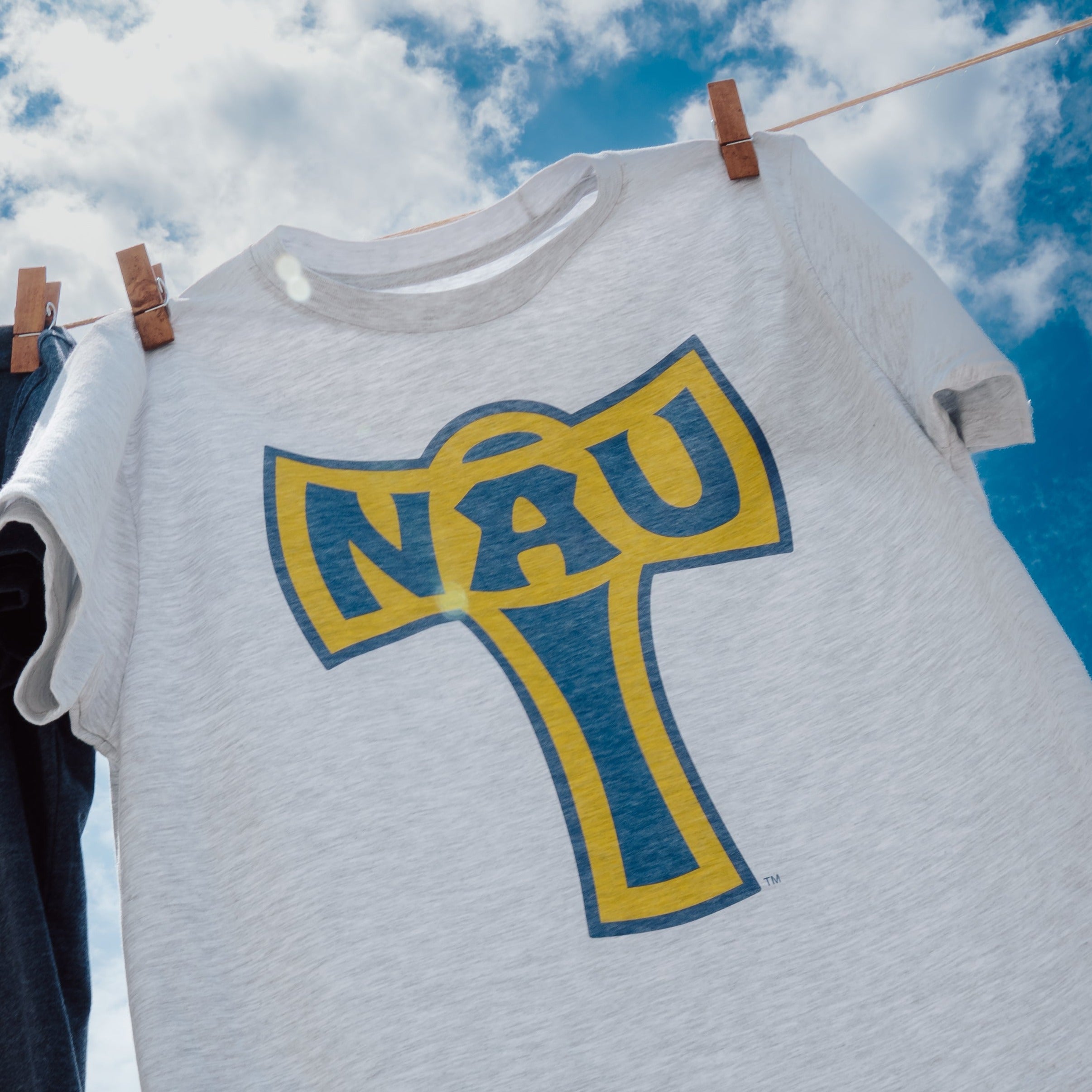 Show Your School Spirit with the Vintage Northern Arizona Lumberjacks Axe Logo Tee