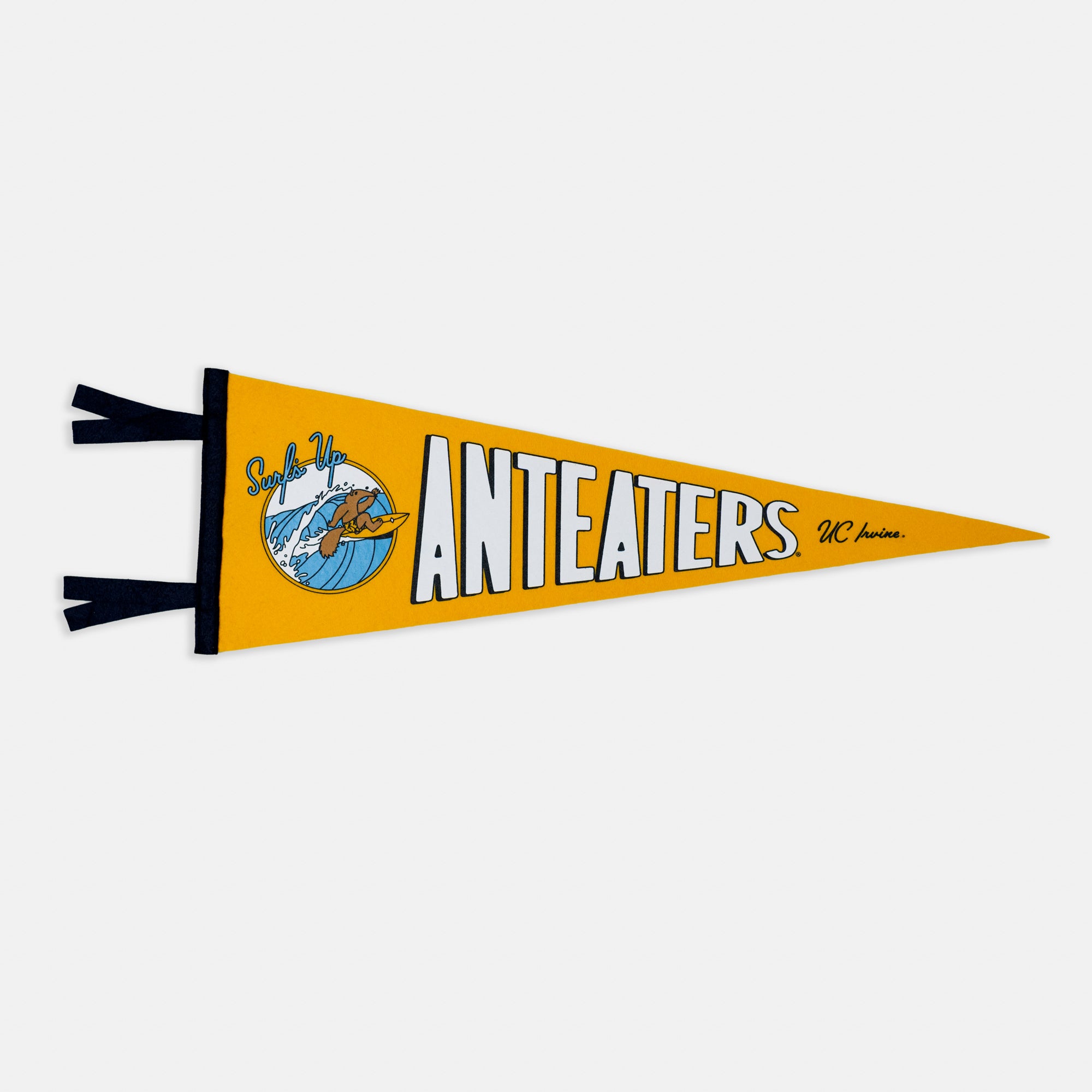 Catch the Surf Vibes with UC Irvine Anteaters Pennant