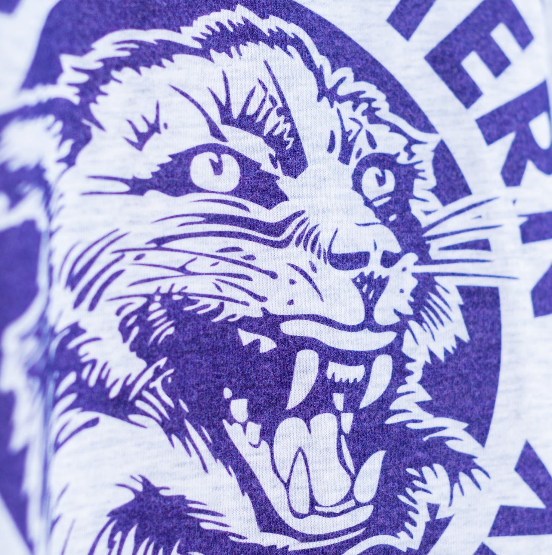 Revive Your Spirit with Northwestern University Vintage Tee