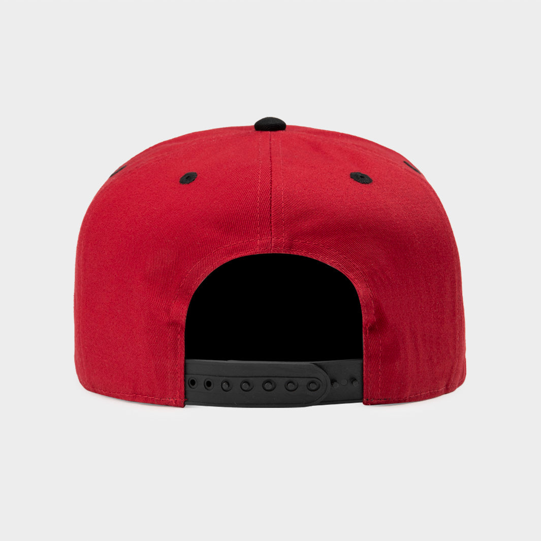 Arkansas Razorbacks Stylish Leaning Hog Snapback Hat