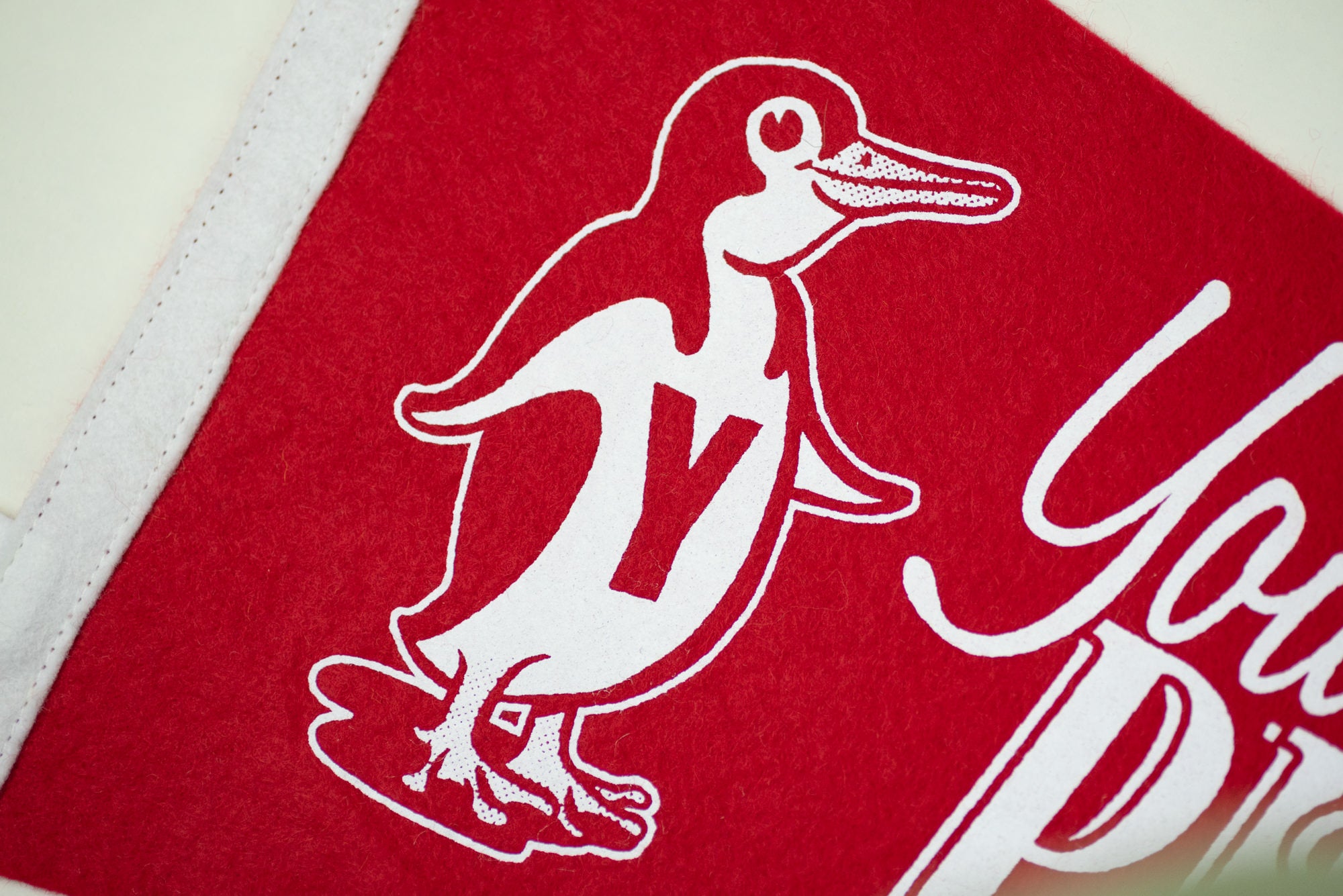 Show Your Pride with the Youngstown State Vintage Penguins Logo Pennant