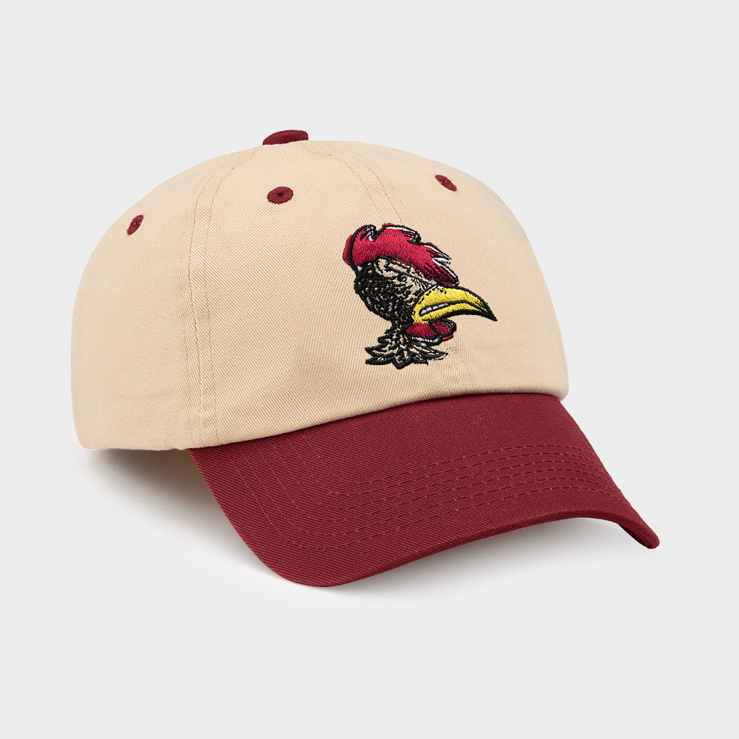 Vintage South Carolina Gamecocks Two-Tone Dad Hat - Show Your Team Spirit!