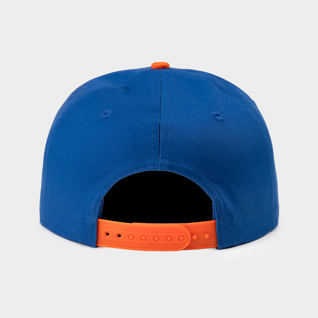 Relive the Glory! 1996 Florida Gators Football National Champions Snapback
