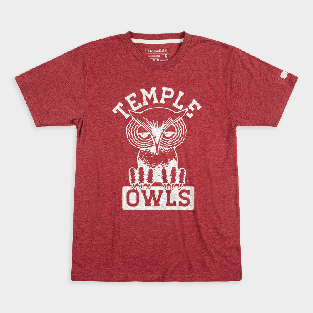 Nostalgic Temple Owls Vintage Tee