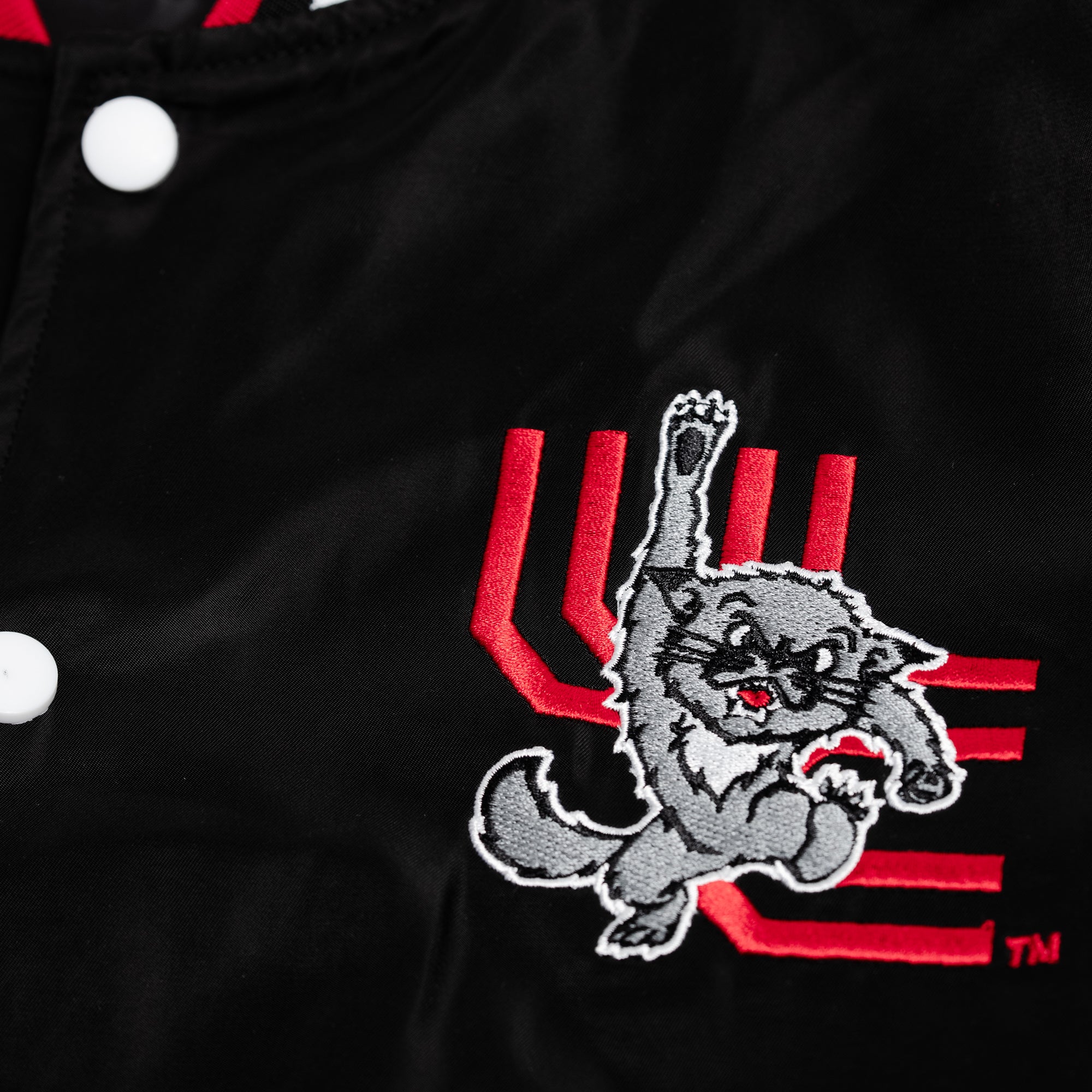 Vintage Cincinnati Bearcats 90s Bomber Jacket with Iconic Logo