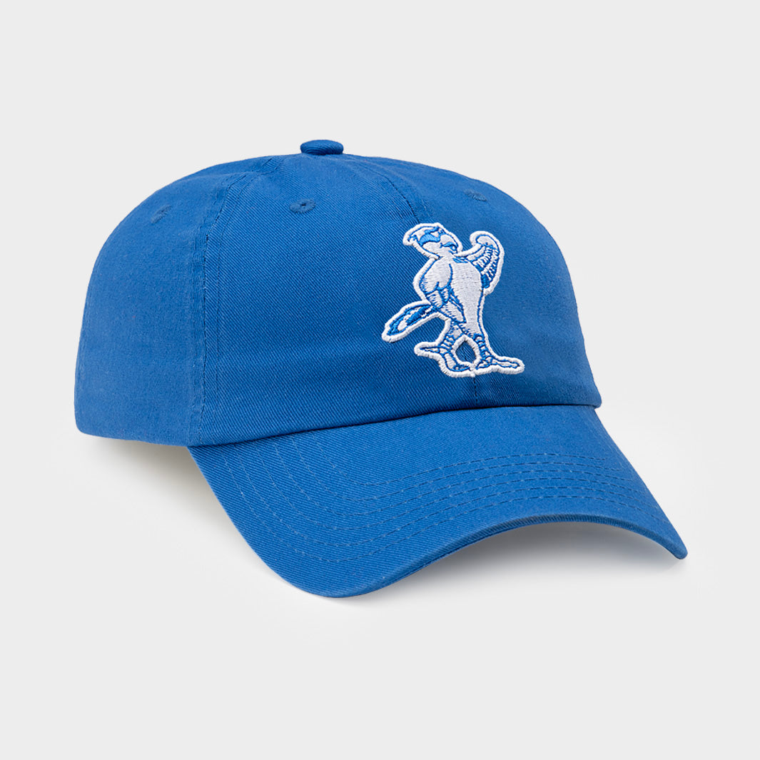 North Florida Ospreys' Nostalgic Retro Dad Hat