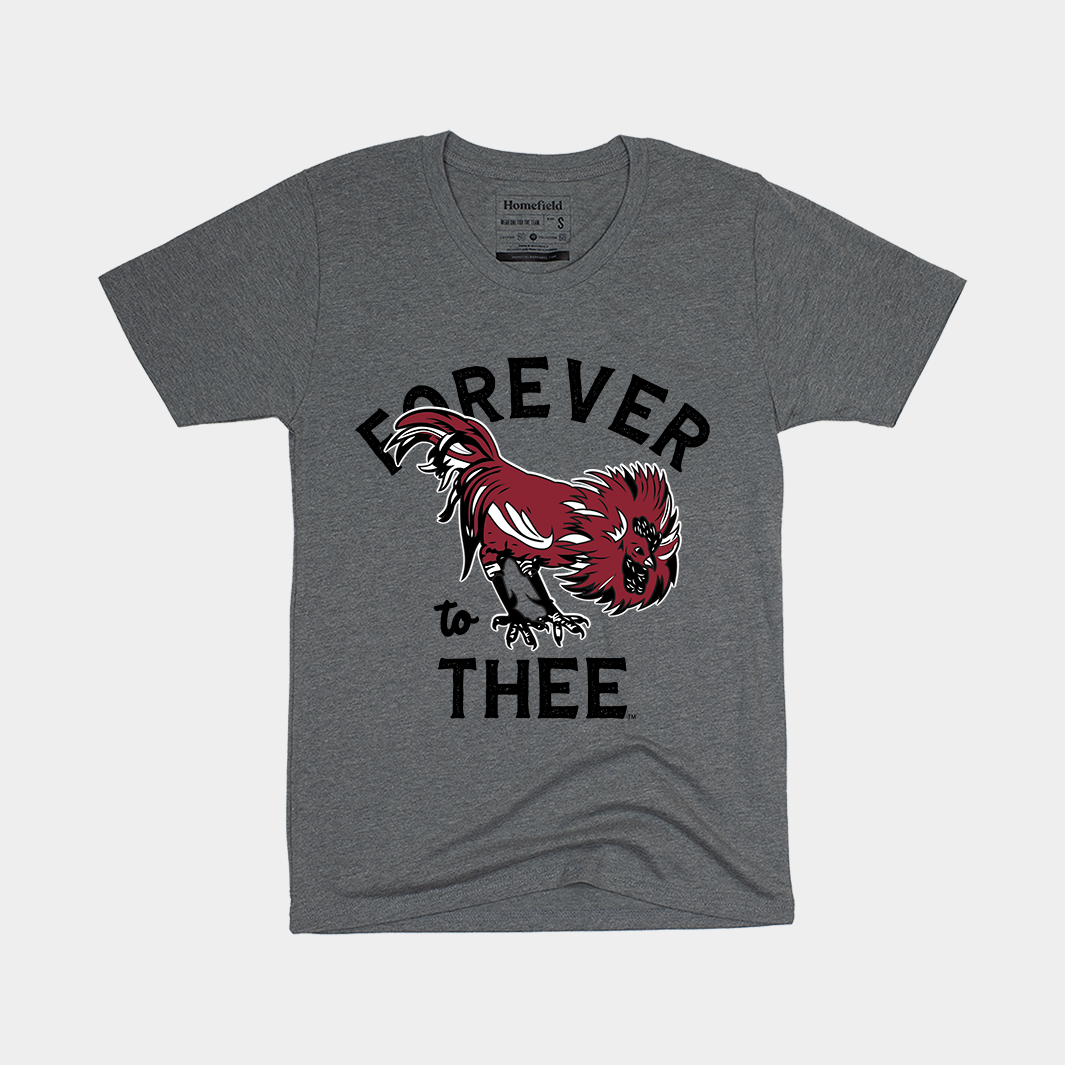 Retro South Carolina Women's Tribute Tee