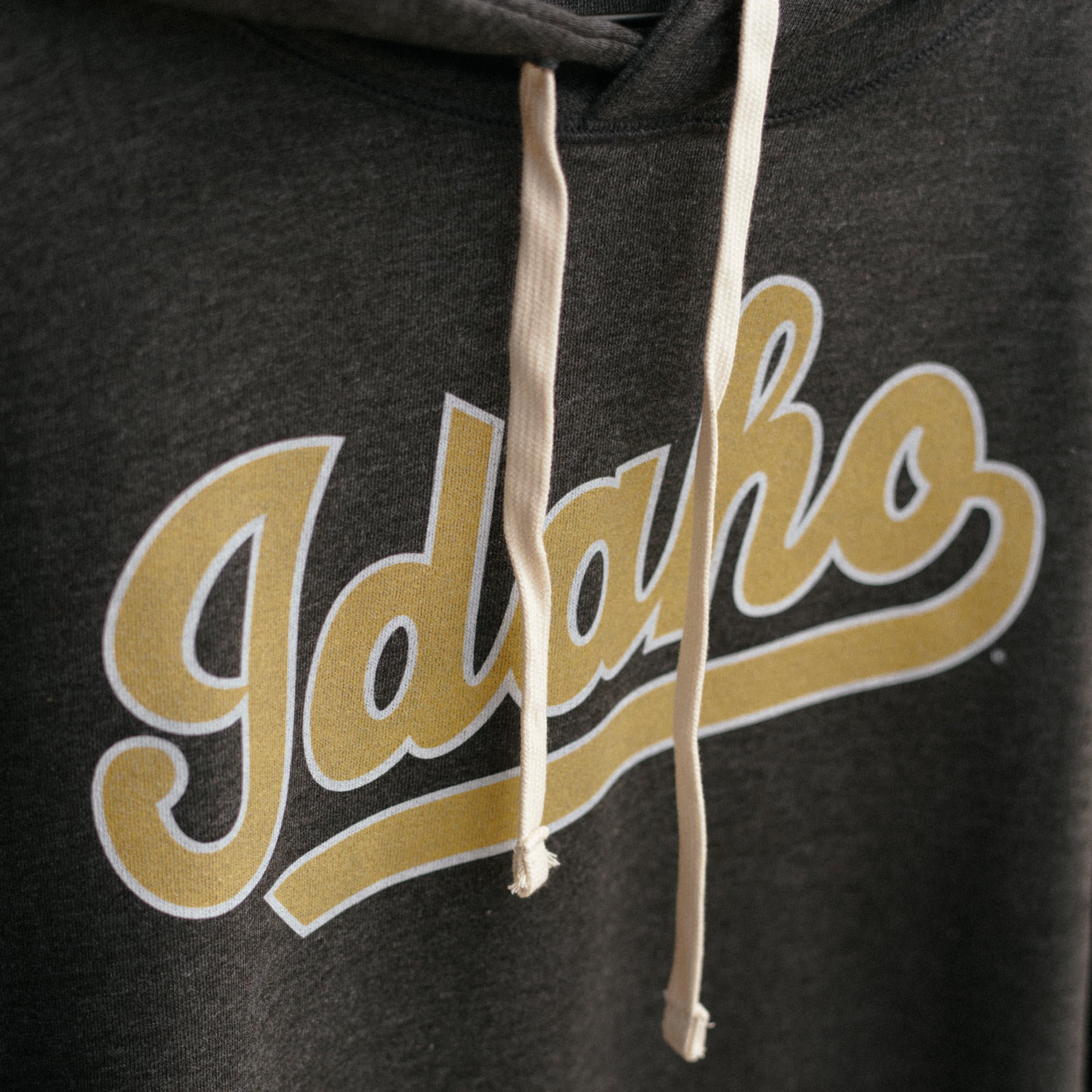 Show Your Idaho Vandals Pride with the 1982 Basketball Script Hoodie