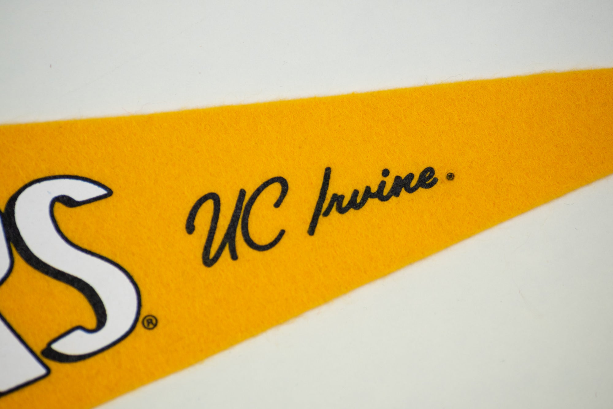 Catch the Surf Vibes with UC Irvine Anteaters Pennant