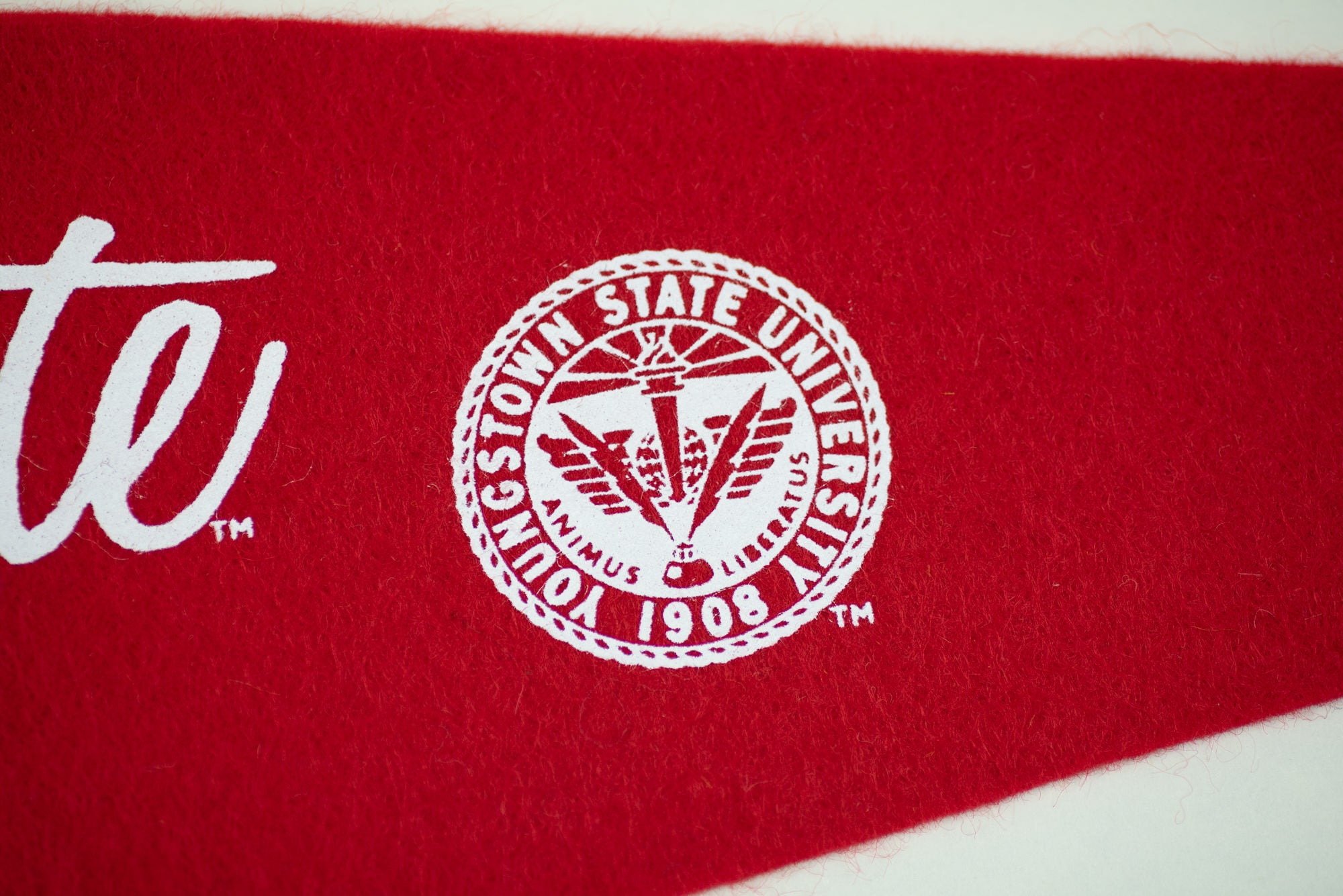 Show Your Pride with the Youngstown State Vintage Penguins Logo Pennant