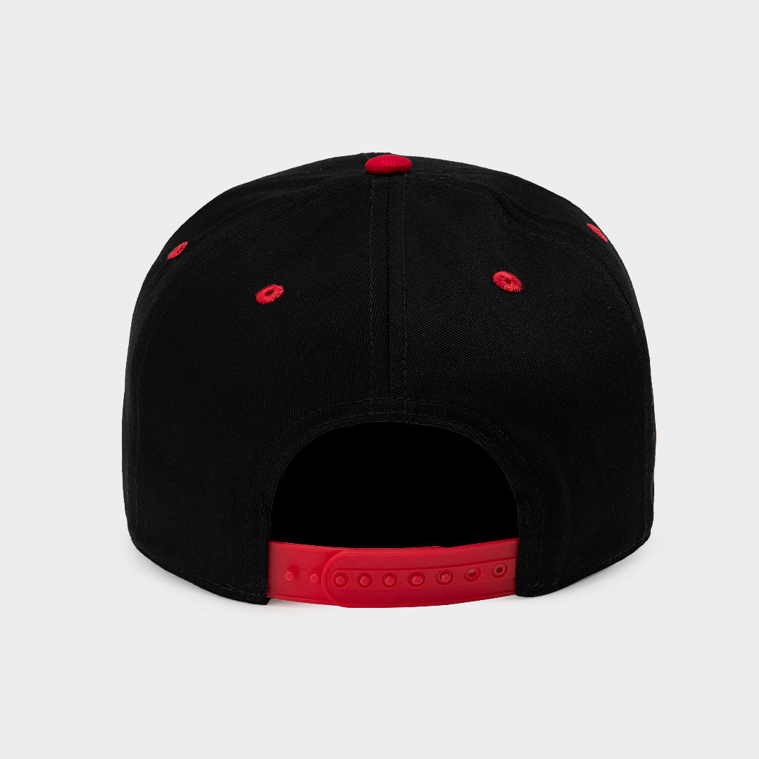 Louisville Cardinals Retro Snapback Cap