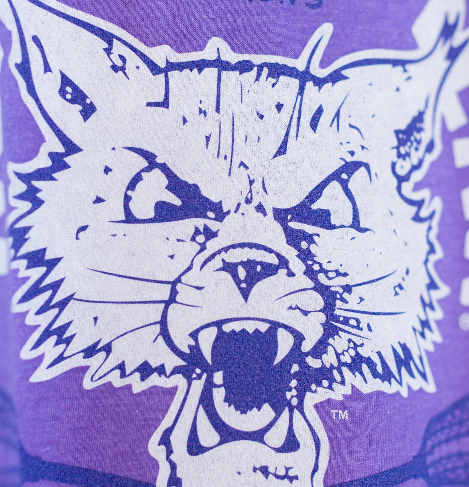 Northwestern Women's Lacrosse: Celebrate Championship Glory Vintage Tee