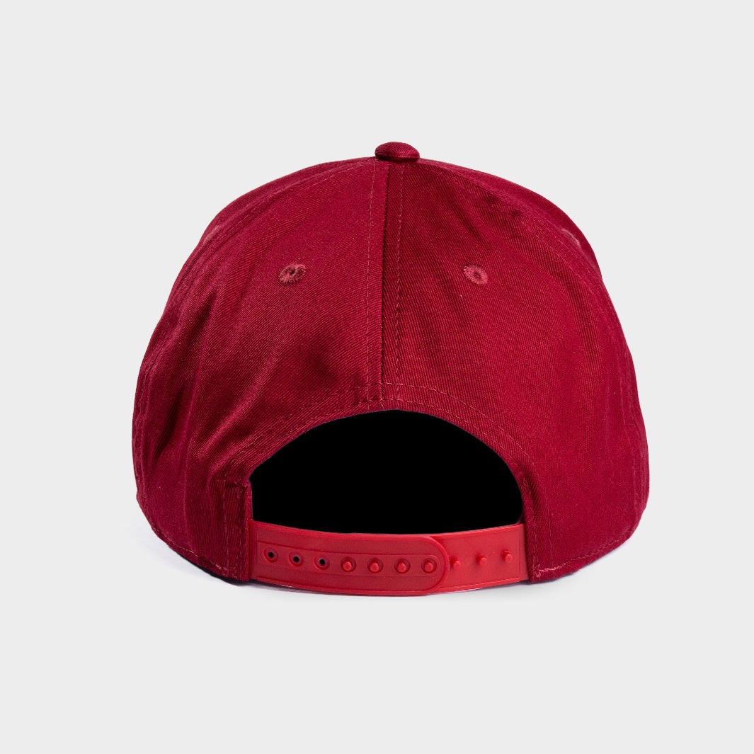 Celebrate 1999 Florida State Football National Champs with This Snapback