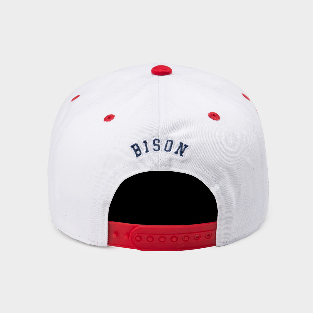 Howard Bison Retro '90s-Inspired Snapback - A Must-Have Hat