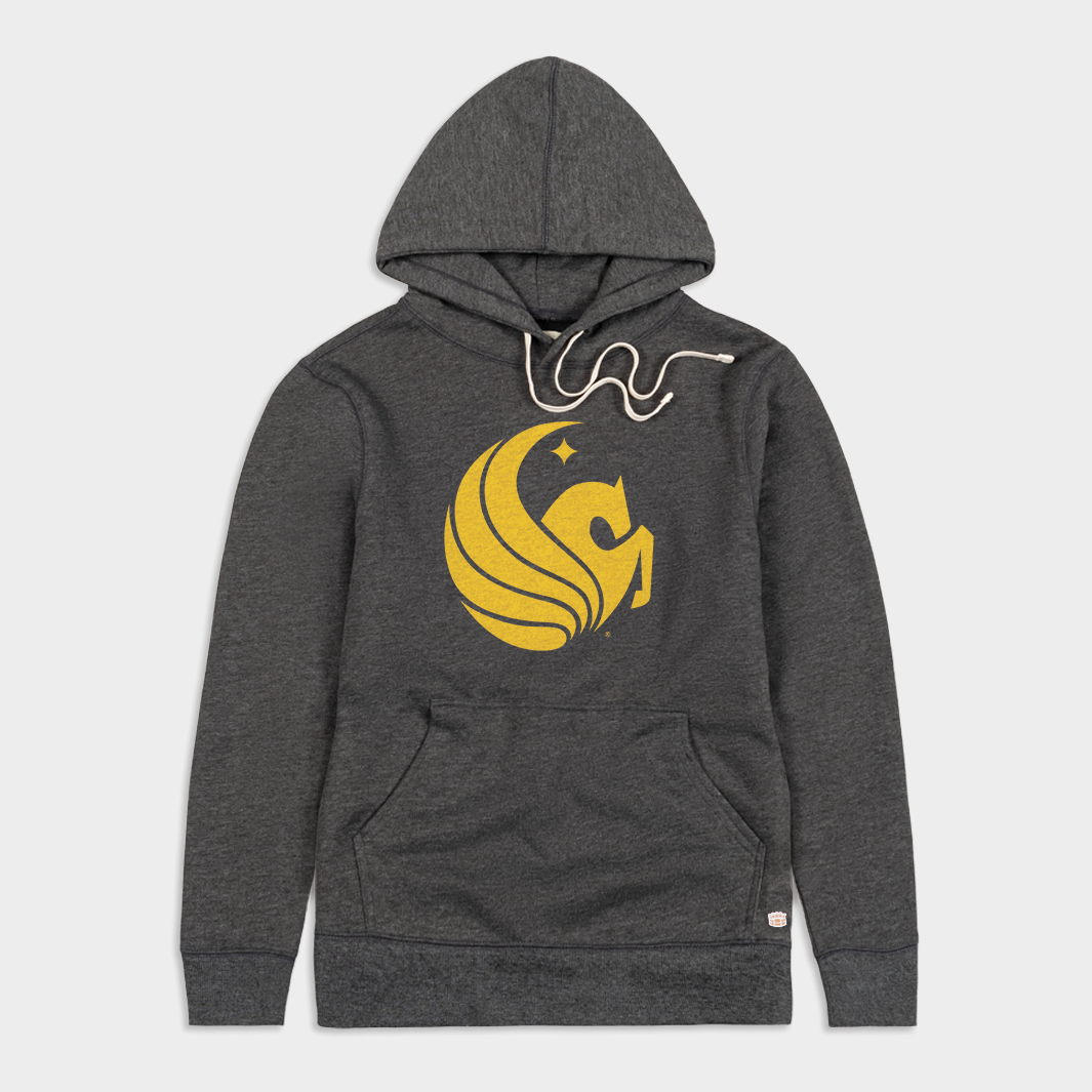 Inspiring UCF Pegasus Hoodie