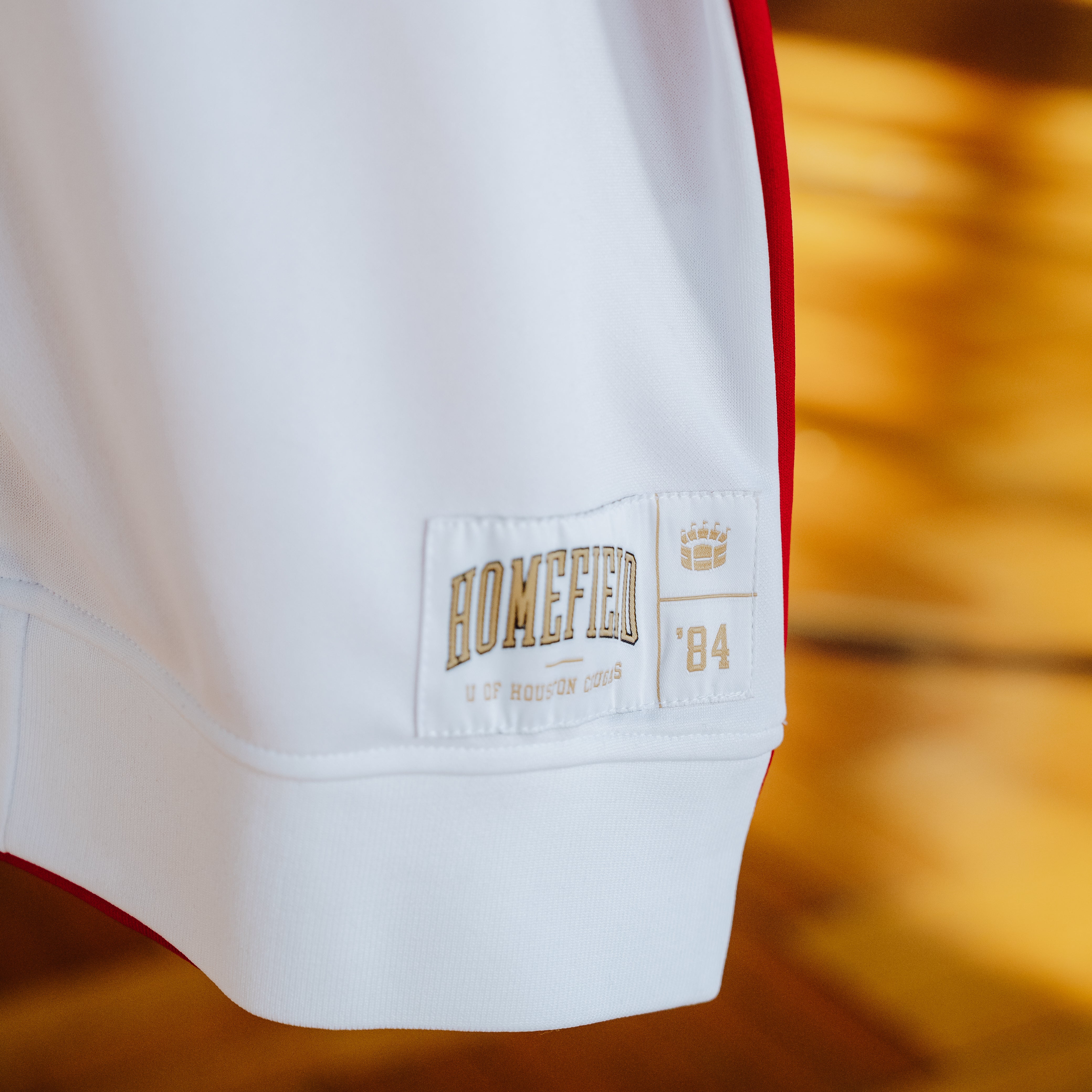 Relive the Glory: Houston 1980s Vintage Phi Slama Jama Shooting Shirt
