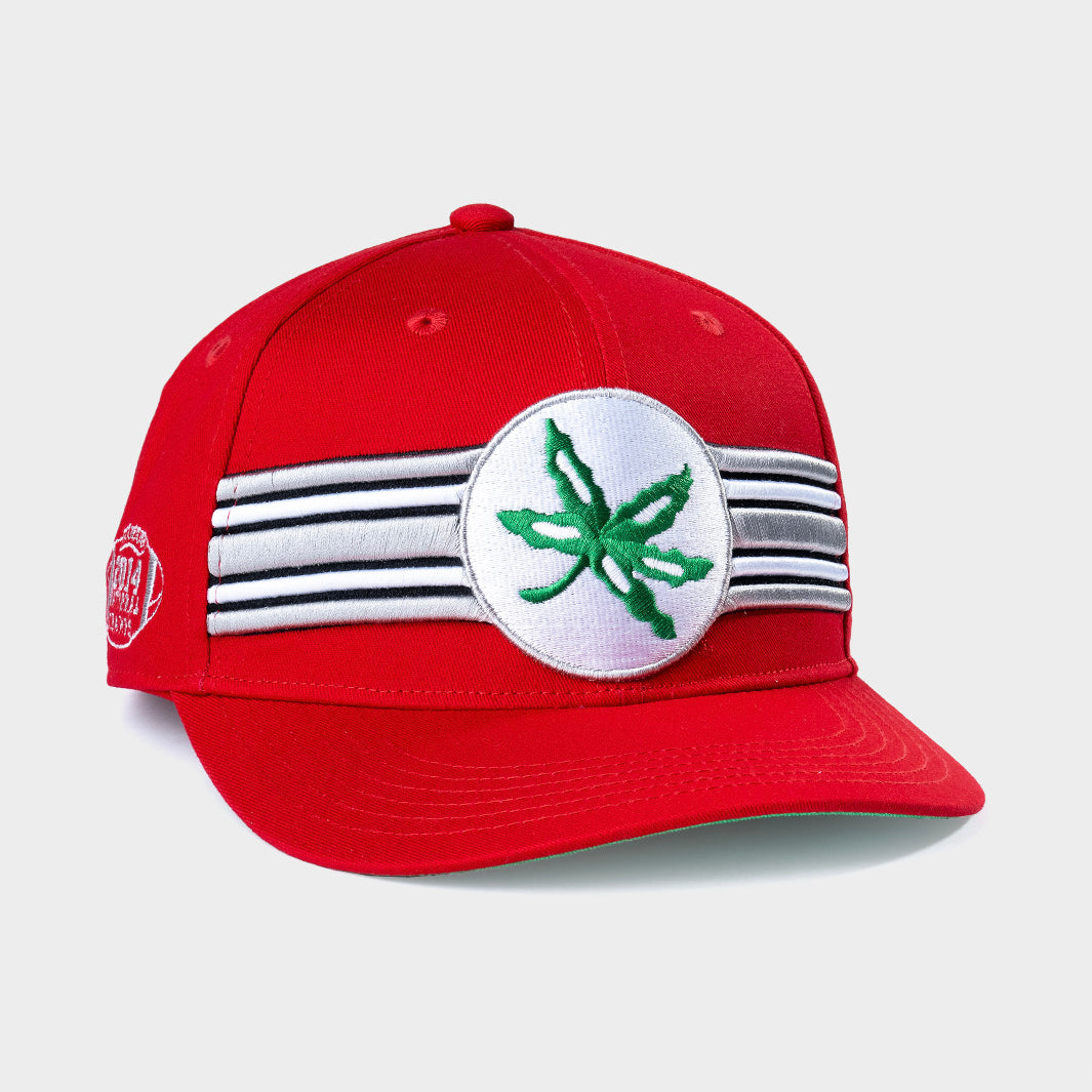 Celebrate Ohio State Football's 2014 National Championship with This Snapback Hat!