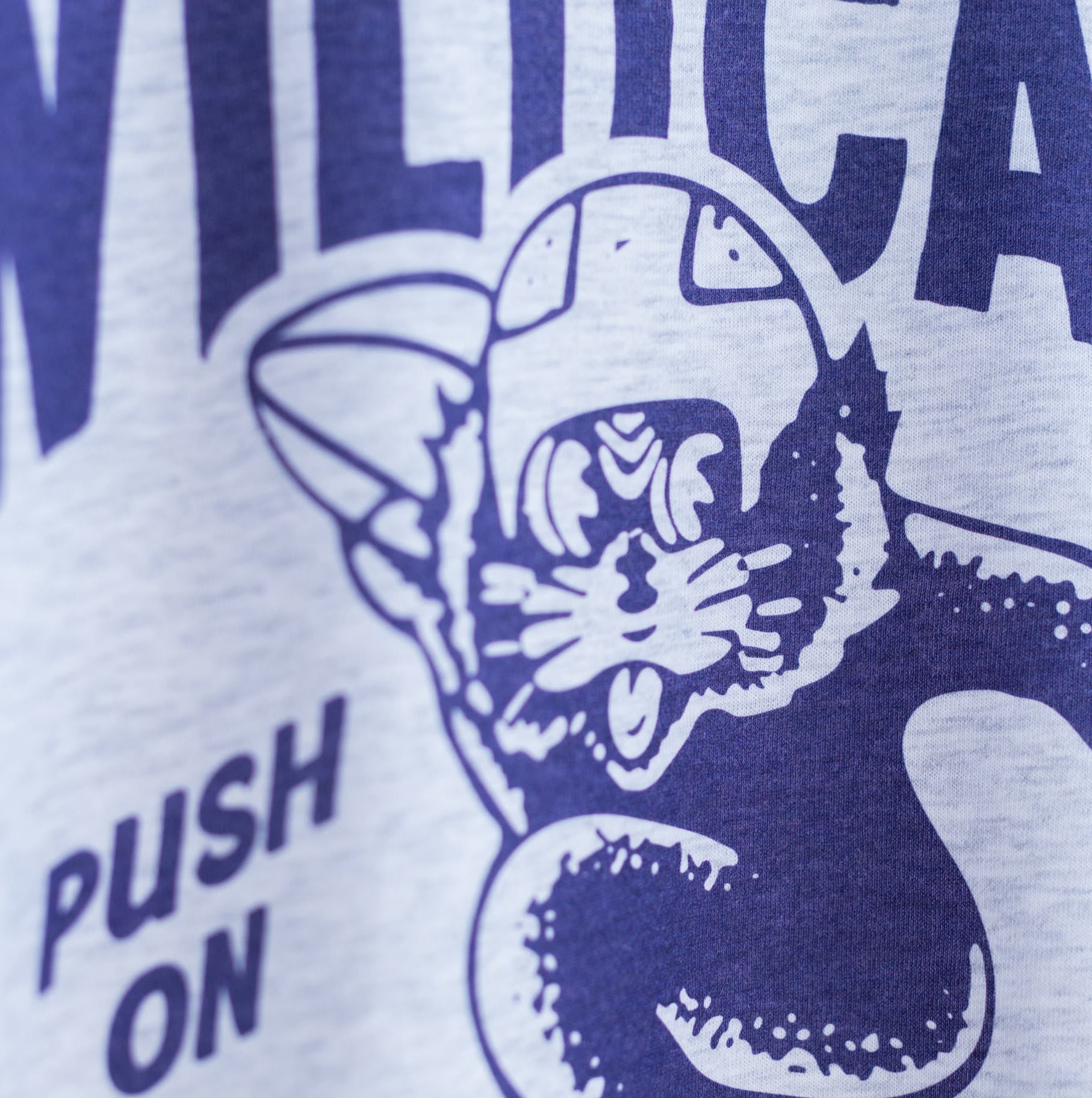 Show Your Northwestern Wildcats Pride with This Adorable Push-On Tee