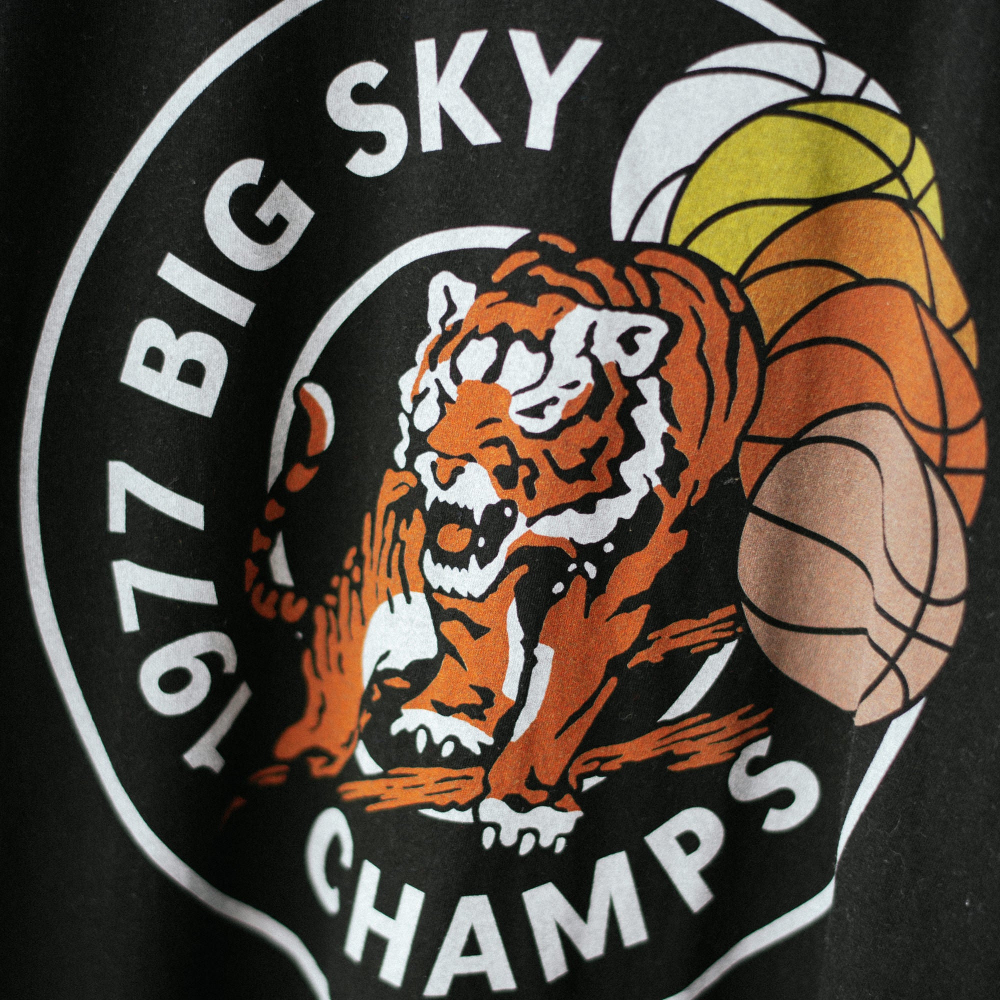 Idaho State 1977 Big Sky Champs Basketball Tee - Celebrate a Historic Win!