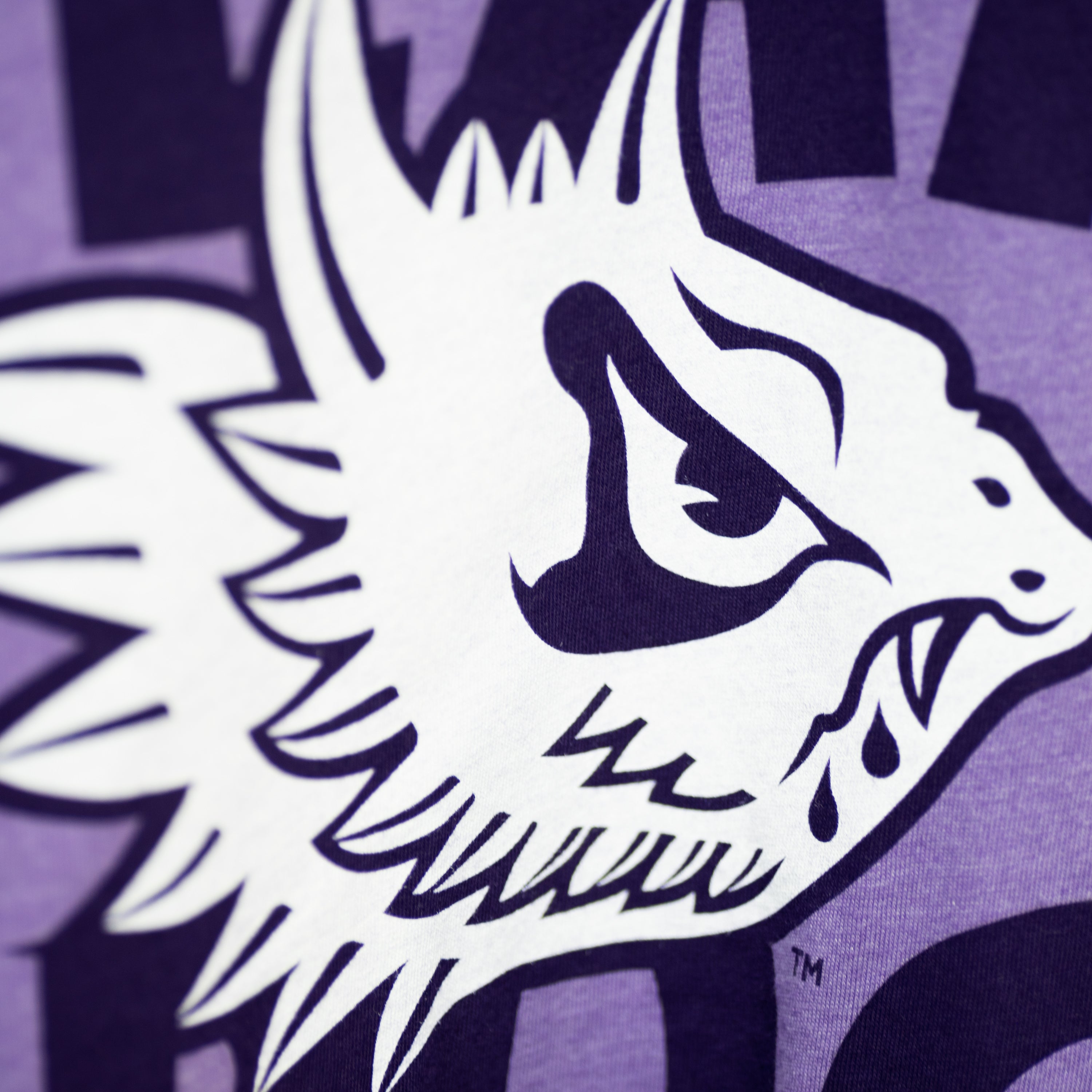 Relive TCU Mascot History with the Fear the Frog Vintage Tee