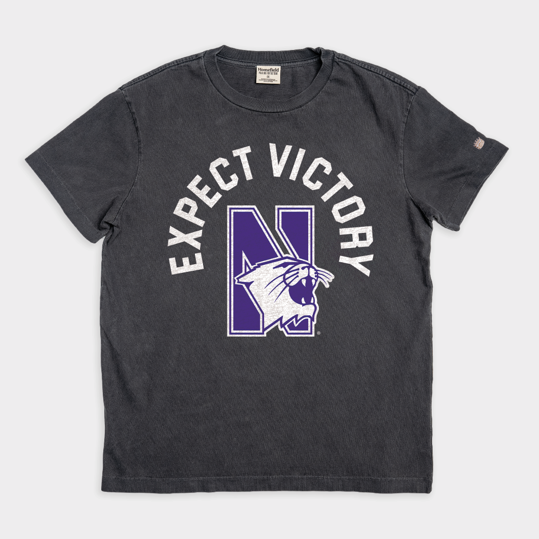1995 Northwestern 'Expect Victory' Vintage Heavyweight Retro Tee