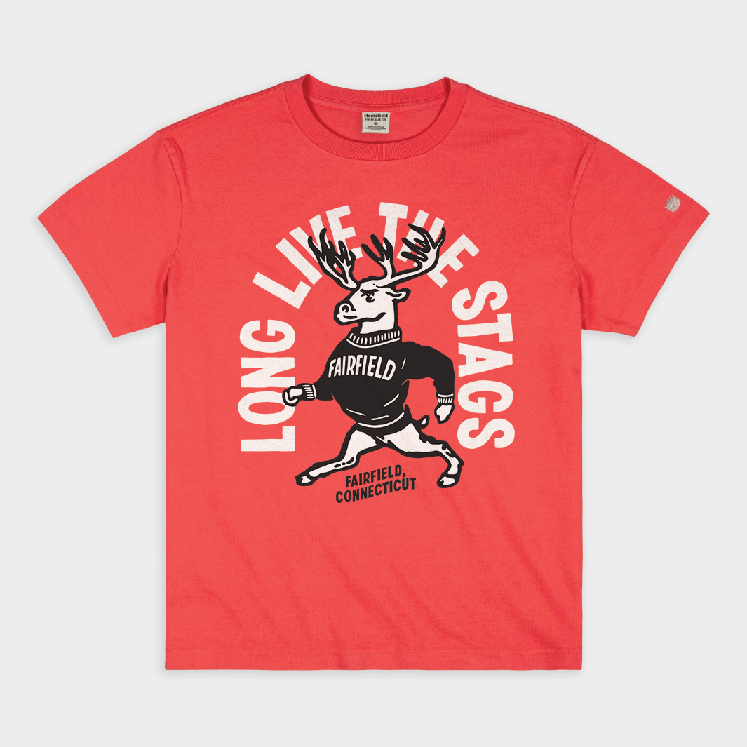 Celebrate the Stags! Vintage Heavyweight Tee