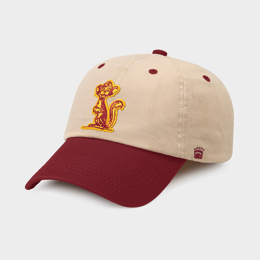 Vintage Minnesota Golden Gopher Two-Tone Dad Hat - A Must-Have!