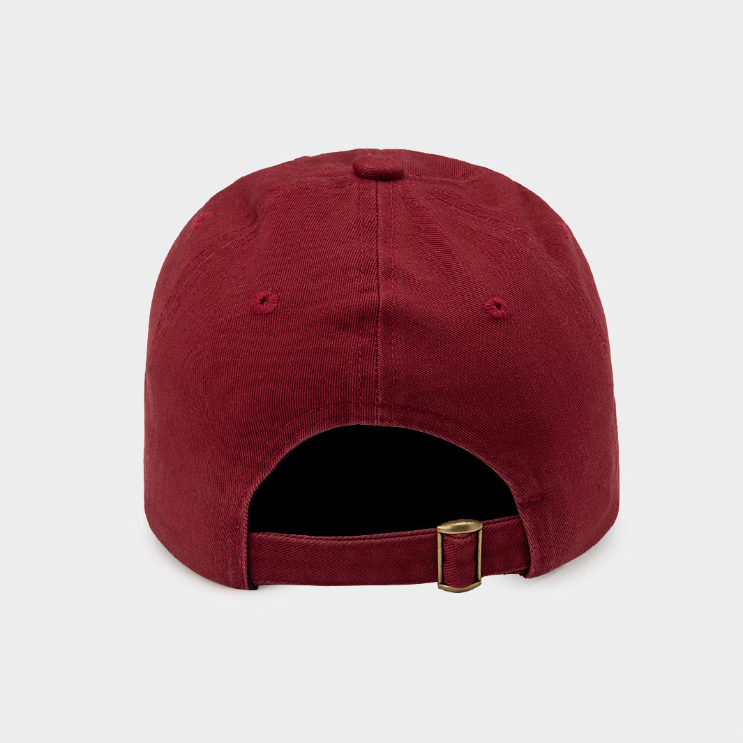Show Your Pride with the New Mexico State Aggies Script Dad Hat