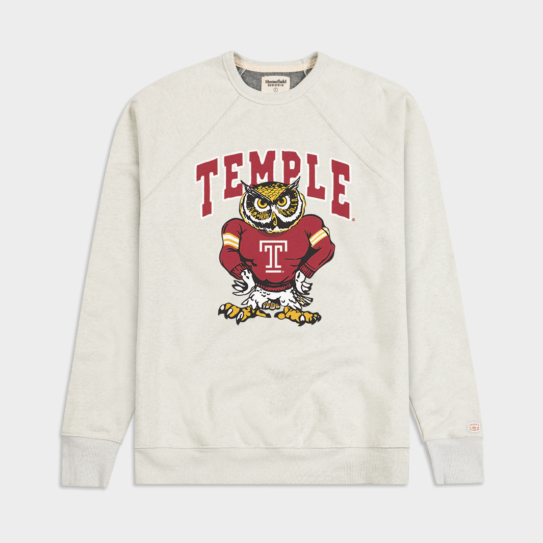 80s-Inspired Temple Owl Retro Crewneck