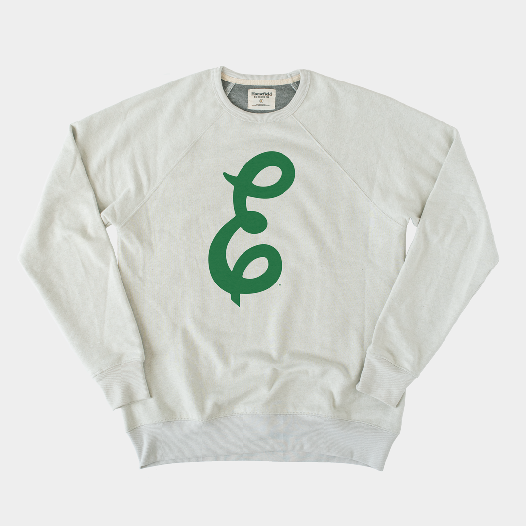 Show Your Eagles Pride! Eastern Michigan University Sweatshirt