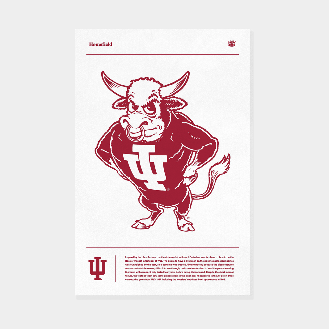 Show Your IU Pride with the Bison Print