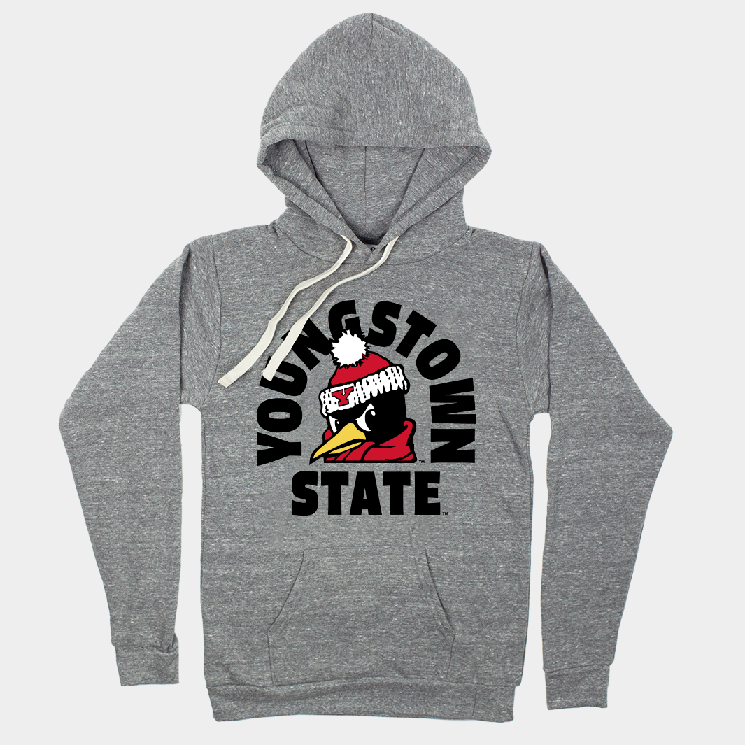 Cozy Youngstown State Penguins Hoodie for Winter